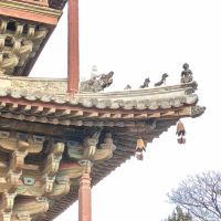 評論圖片 3