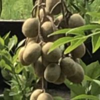 評論圖片 6