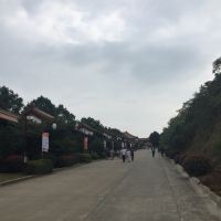 評論圖片 2