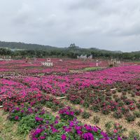 評論圖片 1