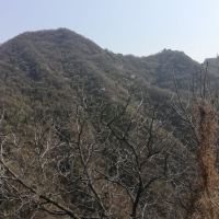 評論圖片 7
