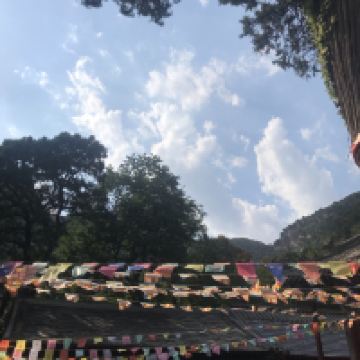 評論圖片 4
