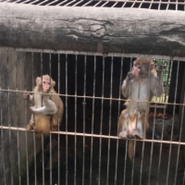 評論圖片 5