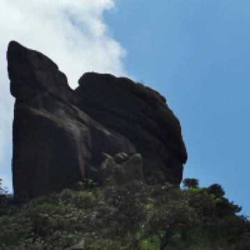 評論圖片 8