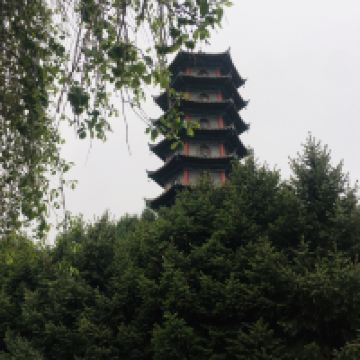 評論圖片 2