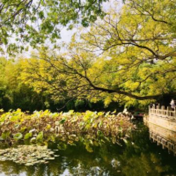 評論圖片 5