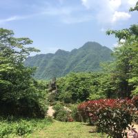 評論圖片 7