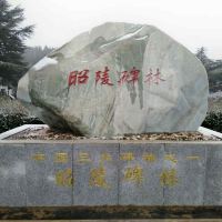 評論圖片 3