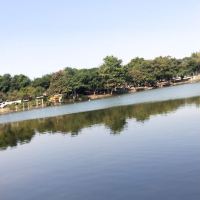 評論圖片 1