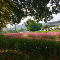 評論圖片 9