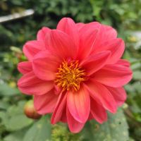 評論圖片 2