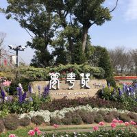 評論圖片 1