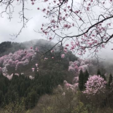 評論圖片 3