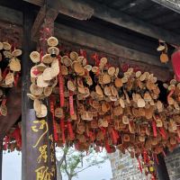 評論圖片 7