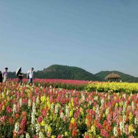 評論圖片 5