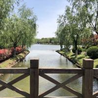 評論圖片 8