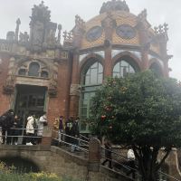 評論圖片 9