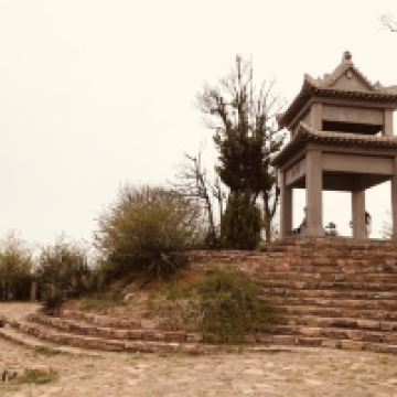 評論圖片 3