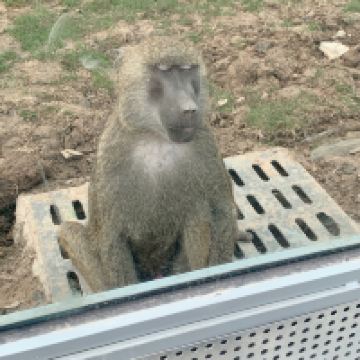 評論圖片 3