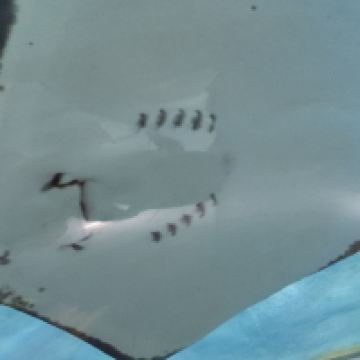 評論圖片 7