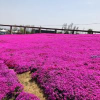 評論圖片 1