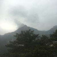 評論圖片 2