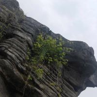 評論圖片 6