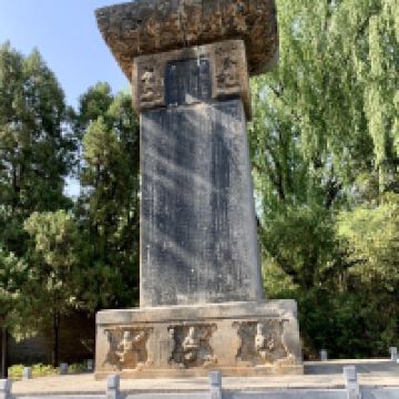評論圖片 8