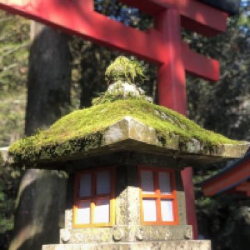 評論圖片 1