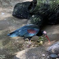 評論圖片 6