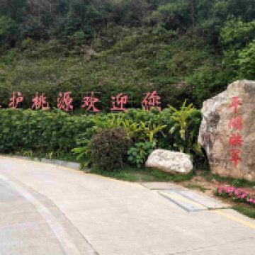 評論圖片 4