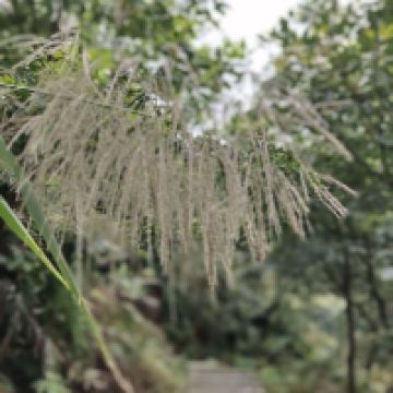 評論圖片 6