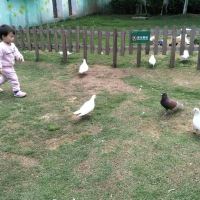 評論圖片 2