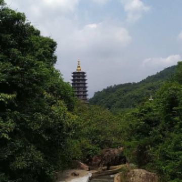 評論圖片 8