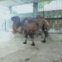 評論圖片 4