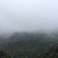評論圖片 5