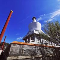 評論圖片 4