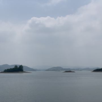 評論圖片 8