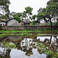 評論圖片 8