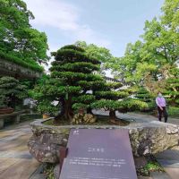 評論圖片 7