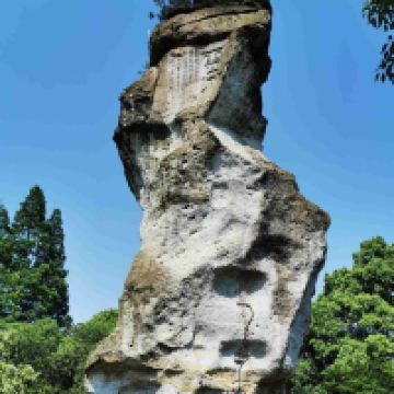 評論圖片 3