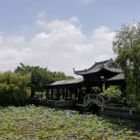 評論圖片 2