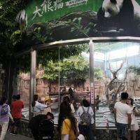 評論圖片 9