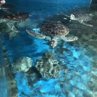 評論圖片 9