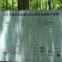 評論圖片 2