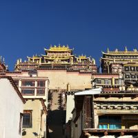 評論圖片 9