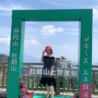 評論圖片 8