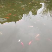 評論圖片 2
