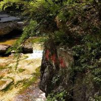 評論圖片 4