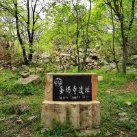 評論圖片 6